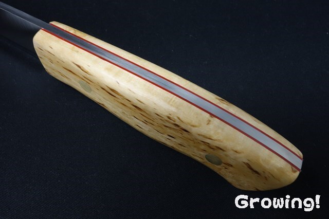 ナイフショップ グローイング！□BRISA【ブリサ】□ 「トラッパー115