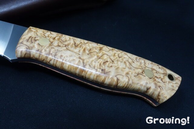 ナイフショップ グローイング！□BRISA【ブリサ】□ 「トラッパー95