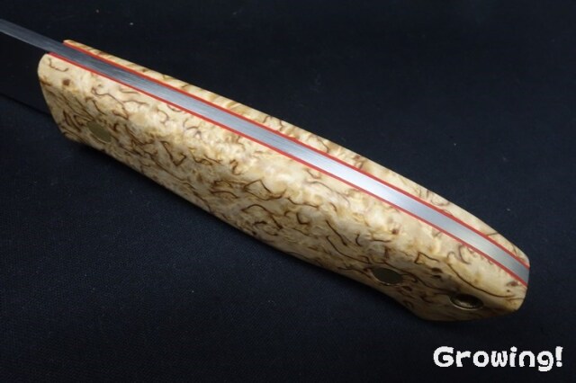 ナイフショップ グローイング！□BRISA【ブリサ】□ 「トラッパー95