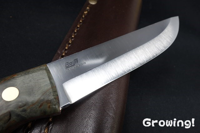 ナイフショップ グローイング！□BRISA【ブリサ】□ 「トゥルーパ