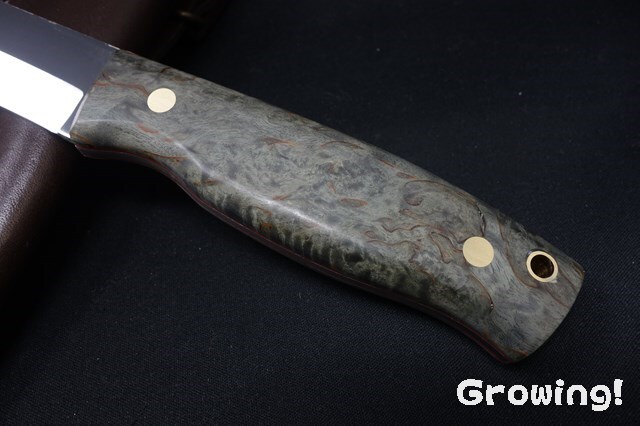 ナイフショップ グローイング！□BRISA【ブリサ】□ 「トゥルーパ