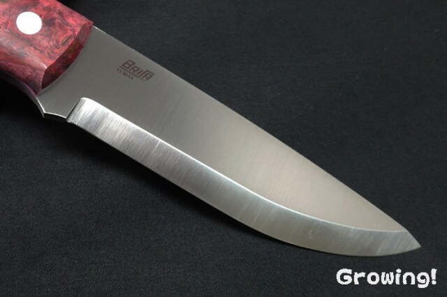 ナイフショップ グローイング！□BRISA【ブリサ】□ 「トラッパー95