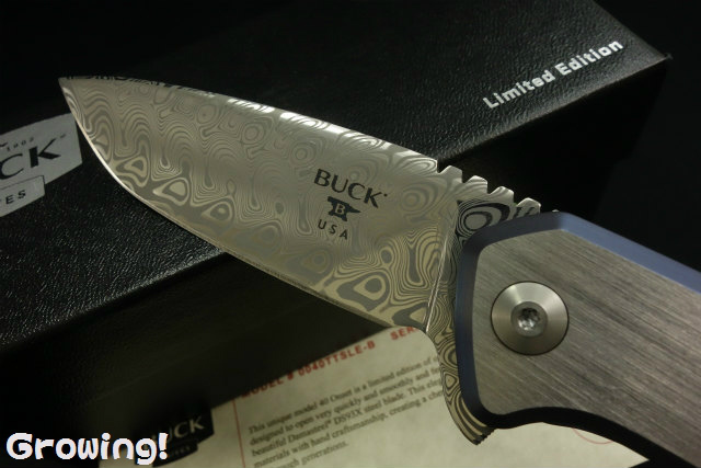 Buck 折りたたみナイフ レザーケース付き c32419571671973c600da85ecf0e9b