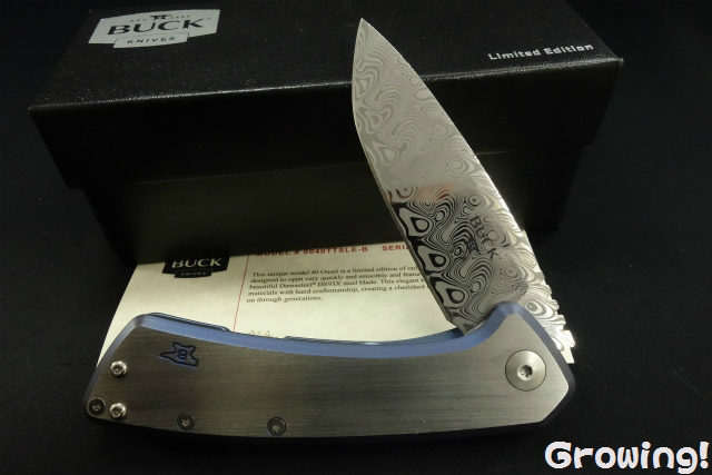BUCK ナイフ　チタニウム　未使用コレクション BUCK KNIVES 2008年 USAモデル シースナイフ ハンティングナイフ