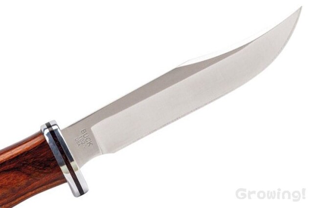 ナイフショップ グローイング！□BUCK【バック】ナイフ□ #102