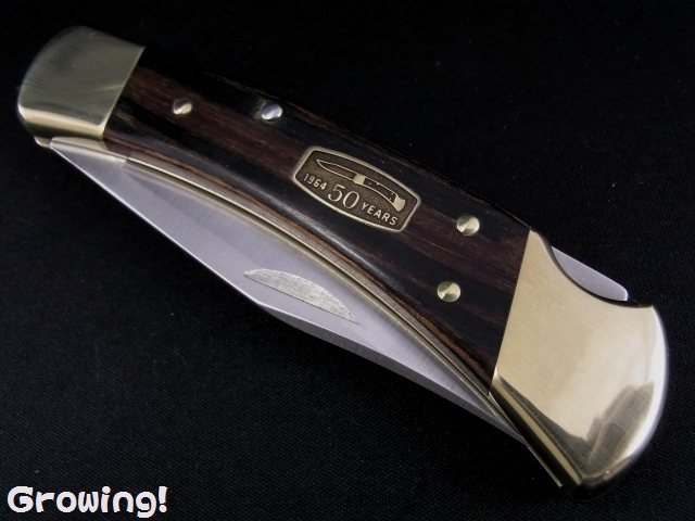 ナイフショップ グローイング！□BUCK【バック】ナイフ□ #110  