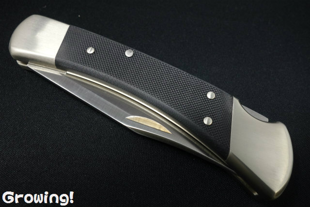 Buck Folding Kalinga Pro Rosewood & 3-7/8