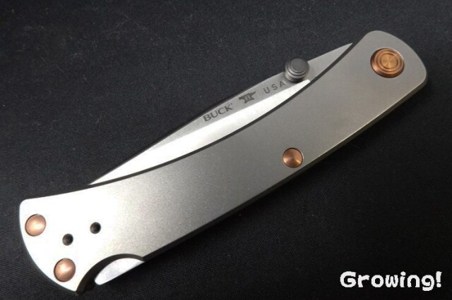 BUCK ナイフ　チタニウム　未使用コレクション Buck Titanium Handle Pocketknife Collectible Modern Factory