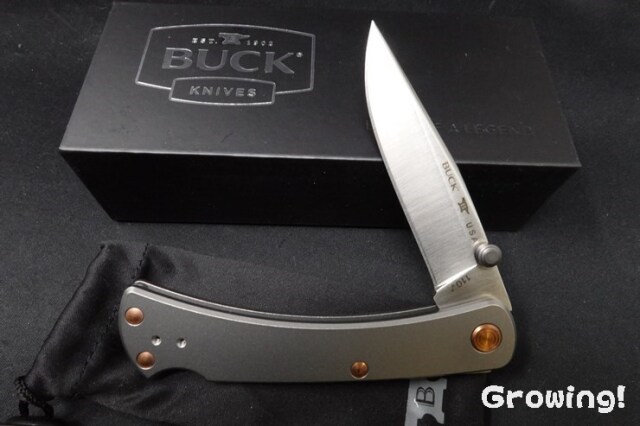 BUCK ナイフ　チタニウム　未使用コレクション ナイフショップ グローイング！□BUCK【バック】ナイフ□ #110 スリム
