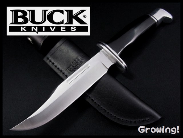 ナイフショップ グローイング！□BUCK【バック】ナイフ□ #119  