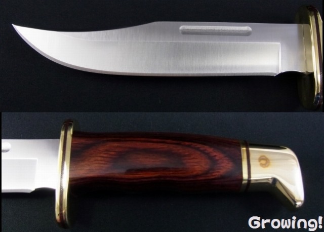 ナイフショップ グローイング！□BUCK【バック】ナイフ□ #119  
