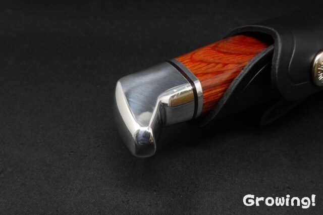 ナイフショップ グローイング！□BUCK【バック】ナイフ□ #120