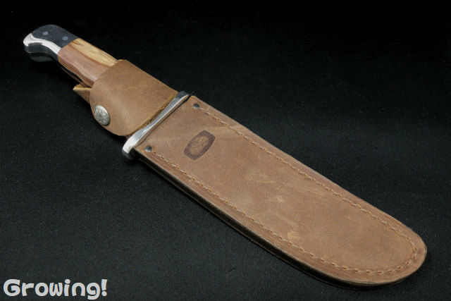 ナイフショップ グローイング！□BUCK【バック】ナイフ□ #124  