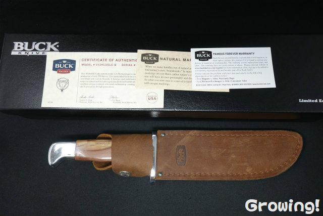 ナイフショップ グローイング！□BUCK【バック】ナイフ□ #124