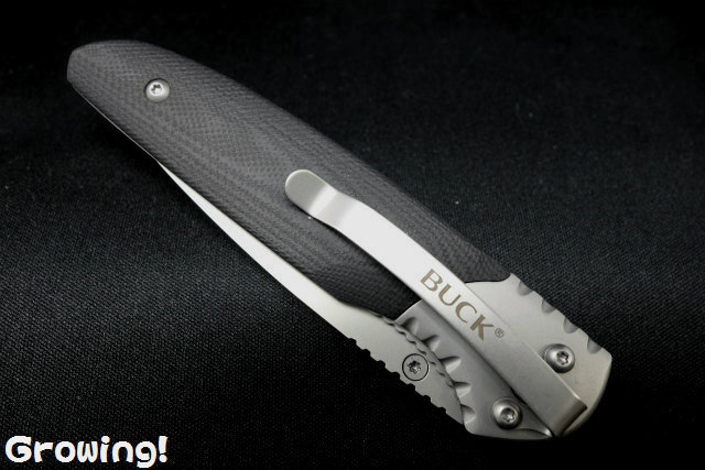 ナイフショップ グローイング！□BUCK【バック】ナイフ□ 300 グレイ