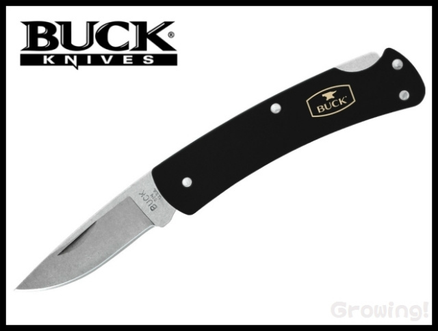 ナイフショップ グローイング！□BUCK【バック】ナイフ□ #124