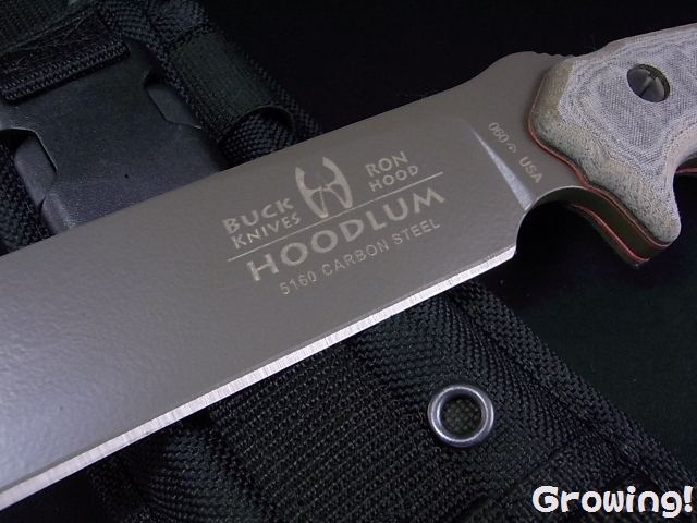 ナイフショップ グローイング！□BUCK【バック】ナイフ□ Buck/Hood  