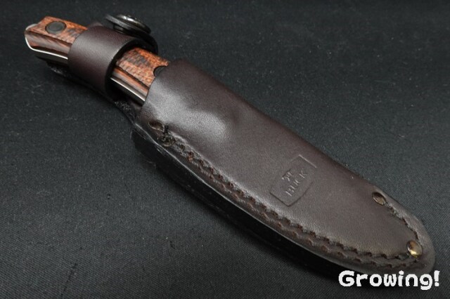 【極希少品】ANKH 生命の鍵 F342 / F684〈大型音叉,癒し,集中〉 ライオンフックキーホルダー ACK0042 Lion hook keychain シルバー