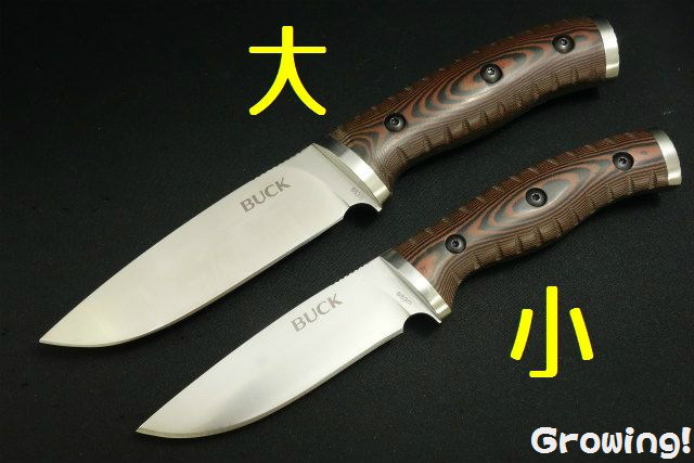 ナイフショップ グローイング！□BUCK【バック】ナイフ□ セルカーク