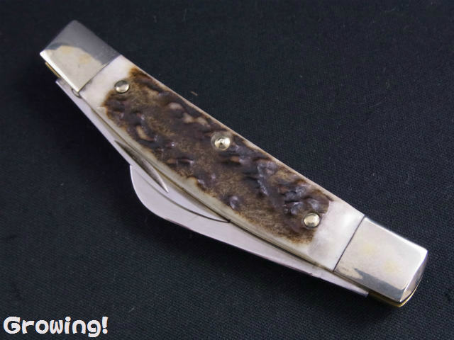 ナイフショップ グローイング！□BUCK CREEK【バック クリーク