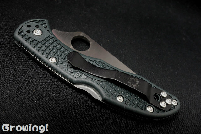 ナイフショップ グローイング！□Spyderco【スパイダルコ】□ デリカ4  