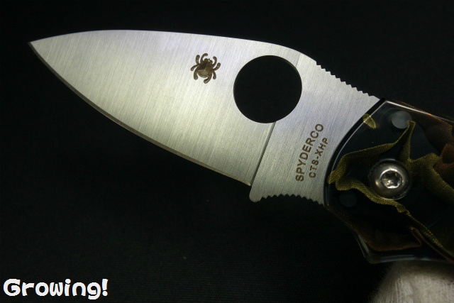 ナイフショップ グローイング！□Spyderco【スパイダルコ