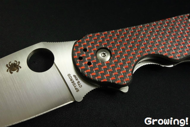 スパイダルコ  ドミノ ナイフショップ グローイング！□Spyderco【スパイダルコ】□ ドミノ