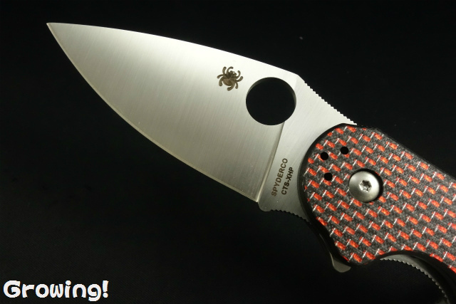 ナイフショップ グローイング！□Spyderco【スパイダルコ