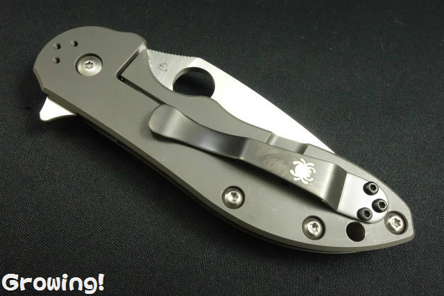 Spyderco - スパイダルコ  ドミノ ナイフショップ グローイング！□Spyderco【スパイダルコ