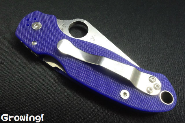 新品‼️スパイダルコ　パラ3 para3ブルー ナイフショップ グローイング！□Spyderco【スパイダルコ