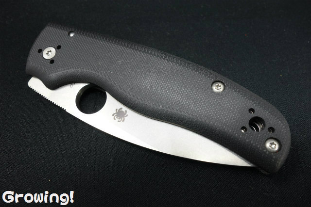 ナイフショップ グローイング！□Spyderco【スパイダルコ  