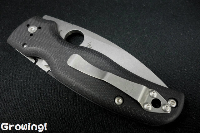 ナイフショップ グローイング！□Spyderco【スパイダルコ  
