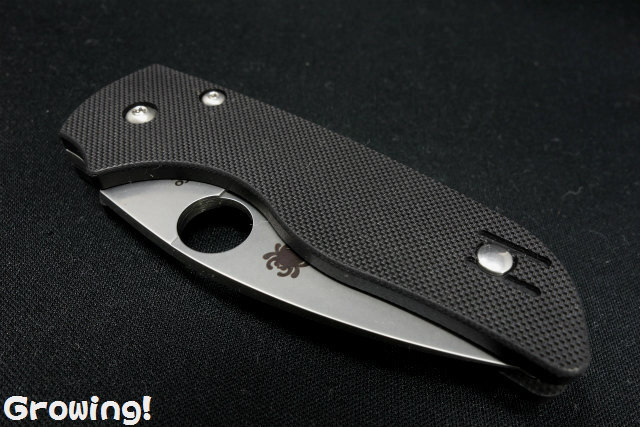 ナイフショップ グローイング！□Spyderco【スパイダルコ  