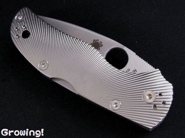 ナイフショップ グローイング！□Spyderco【スパイダルコ