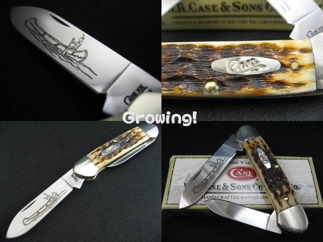 ナイフショップ グローイング！□CASE【ケース】ナイフ□ カヌー