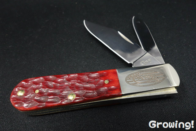 【純銀ハンドル】キングスパターンのグレープフルーツナイフ 1964年 ケース ナイフショップ グローイング！□CASE【ケース】ナイフ