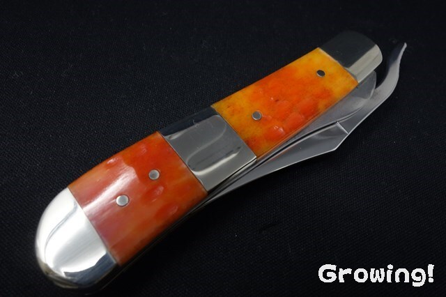 ナイフショップ グローイング！□CASE【ケース】ナイフ□ ラスロック