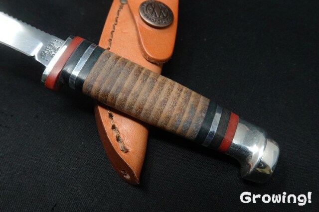 ナイフショップ グローイング！□CASE【ケース】ナイフ□ M3 Finn