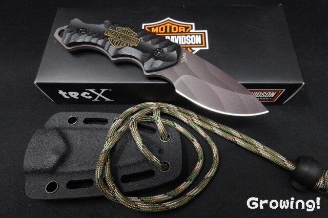 ナイフショップ グローイング！□CASE【ケース】ナイフ□ tecX