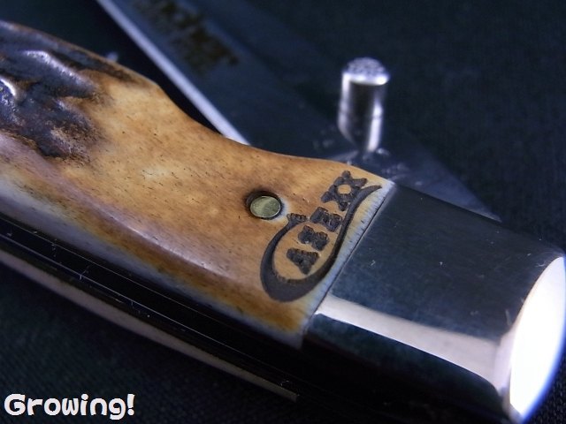 ナイフショップ グローイング！□CASE【ケース】ナイフ□ スタッグ