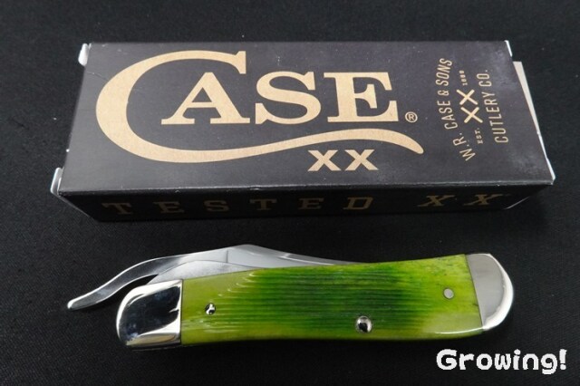 ナイフショップ グローイング！□CASE【ケース】ナイフ□ ラスロック