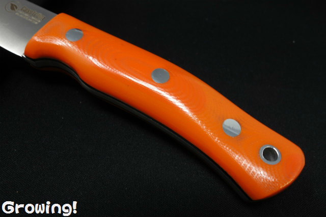 ナイフショップ グローイング！□Casstrom【カストロム】□ 「No10