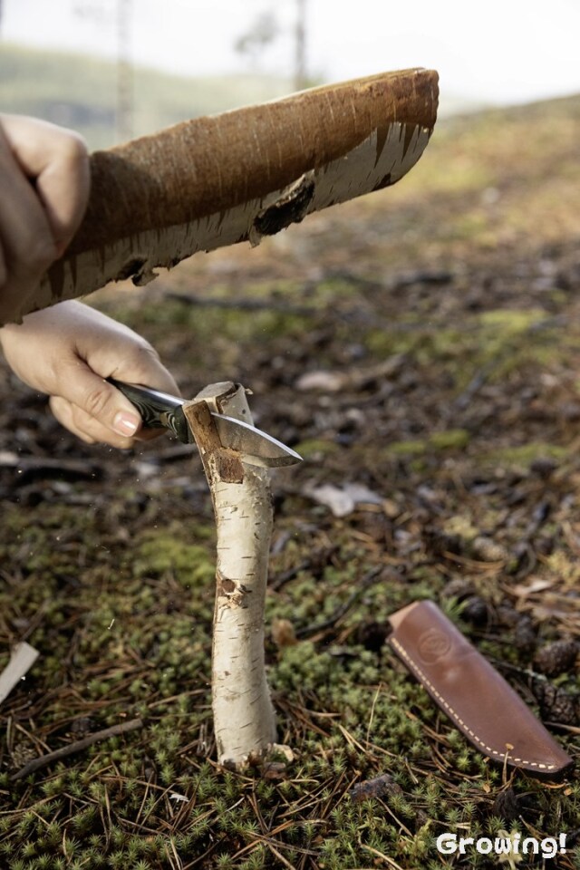 ナイフショップ グローイング！□Casstrom【カストロム】□ 「No8」SFK