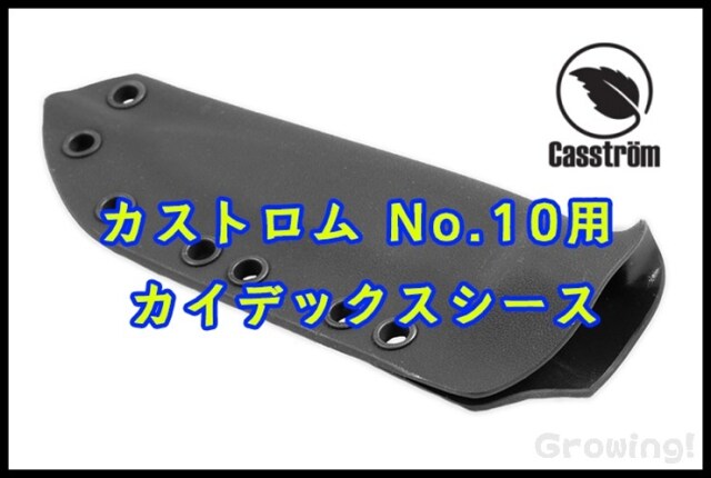 CASS13015-13016-1.jpg