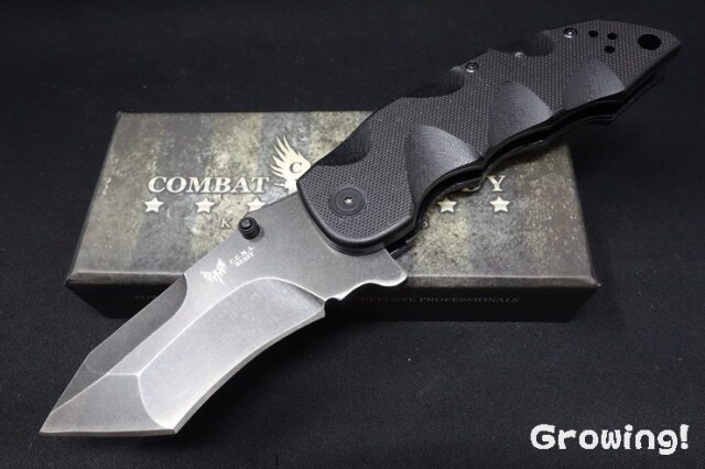 CBR341-2.jpg