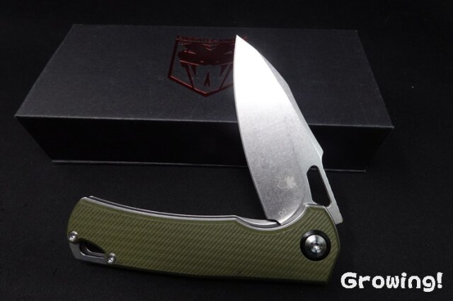 CBT-WLVRN-GN-3.jpg