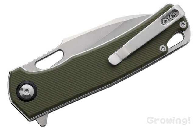 CBT-WLVRN-GN-5.jpg