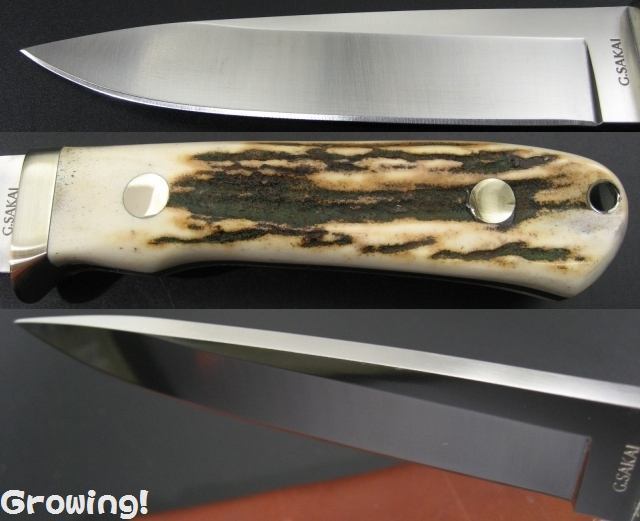 ナイフショップ グローイング！□G・SAKAI【ガーバー サカイ  