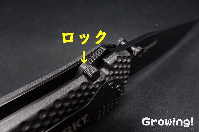 CRKT フォールディングナイフ ライキリ・カスタムバージョン 41q1IXSa2HL.jpg_BO30,255,255,