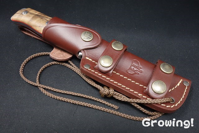 ナイフショップ グローイング！□CUDEMAN【クードマン】□ MT5  